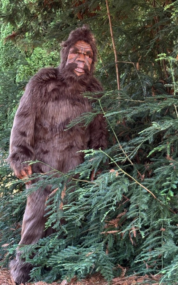 bigfoot woods